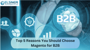 Top 5 Reasons You Should Choose Magento for B2B